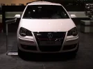 DSC00562.webp
