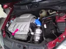 clio.webp