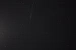 Star.webp