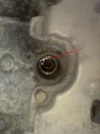inside plug chamber mank.webp