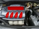 red.webp