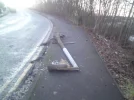 DSC00564.webp