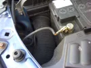 Clio 002.webp