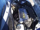 Picture018.webp