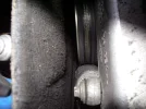 IMGP1172.webp