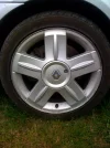 photo-3.webp