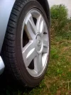 photo.webp