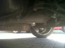 IMG00523-20100616-1723.webp