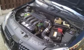 IMAG0062.webp