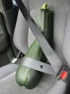 10876d1218129620-seat-belt-beeping-passenger-seat-00034566.webp
