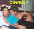 owned.webp