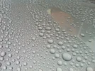 ImageUploadedByTapatalk.webp
