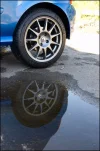 turini.webp