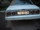 000019(2).webp