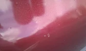 IMAG0270.webp