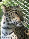 DSCF0503.webp