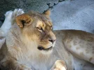 DSCF0425.webp