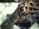 DSCF0499.webp