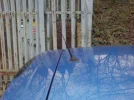DSC00436.webp DSC00436.webp
