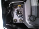 IMG00300-20100725-1217.webp