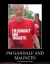 demotivational-posters-im-gandalf-and-magneto.webp