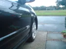 DSC00081.webp