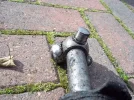 100_0716.webp