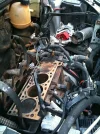 clio4.webp