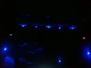 149783_160842530620623_100000846322096_277514_6093570_n.webp