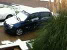 snow day 045.webp