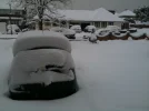 snow2.webp