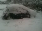 photo.webp