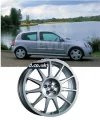 turini.webp