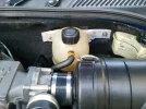 2011-01-19 08.40.40.webp