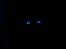Switches.webp