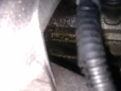 IMAG0124.webp