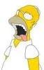 homer.webp