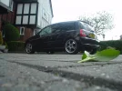 DSC01271.webp