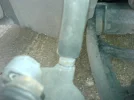 DSC03779.webp
