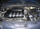 clio 003 (Medium).webp