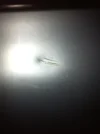 ImageUploadedByTapatalk1298234821.612783.webp