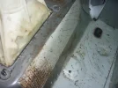 jjj 041.webp jjj 041.webp