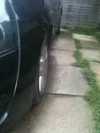tn.webp