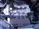 WP_000033.webp