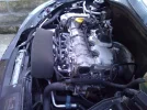 WP_000032.webp