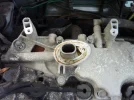 P1000658.webp