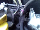 WP_000042.webp