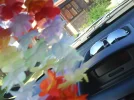 DSC00631.webp