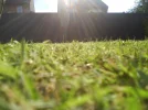 DSC00597.webp