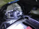 DSC01010.webp